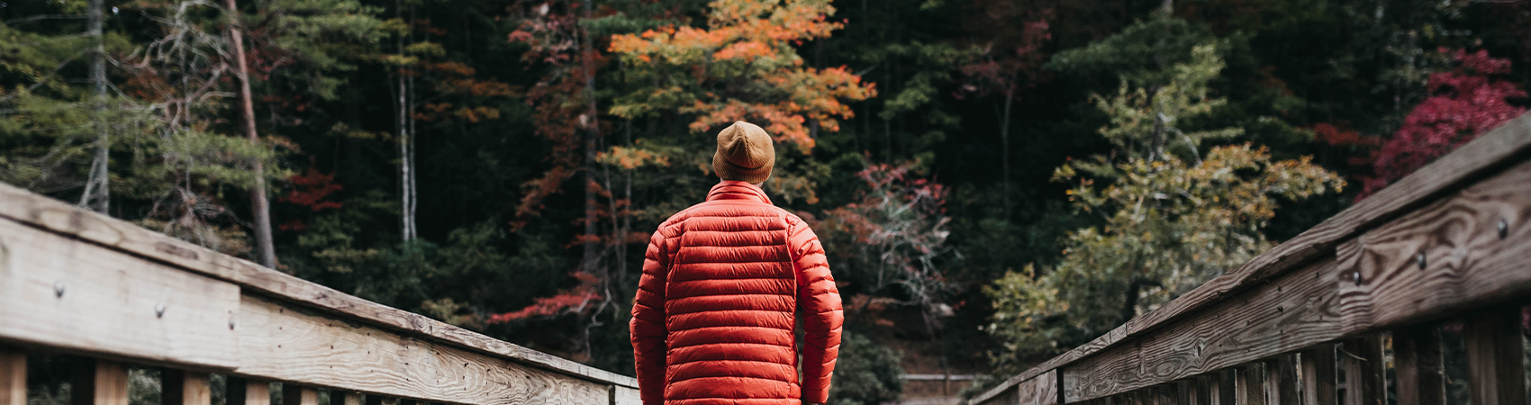 South West Autumn Walks