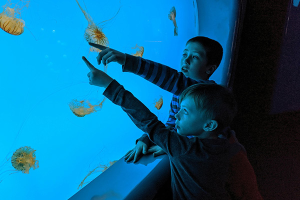 Kids at aquarium looking at Jellyfish Easter holidays