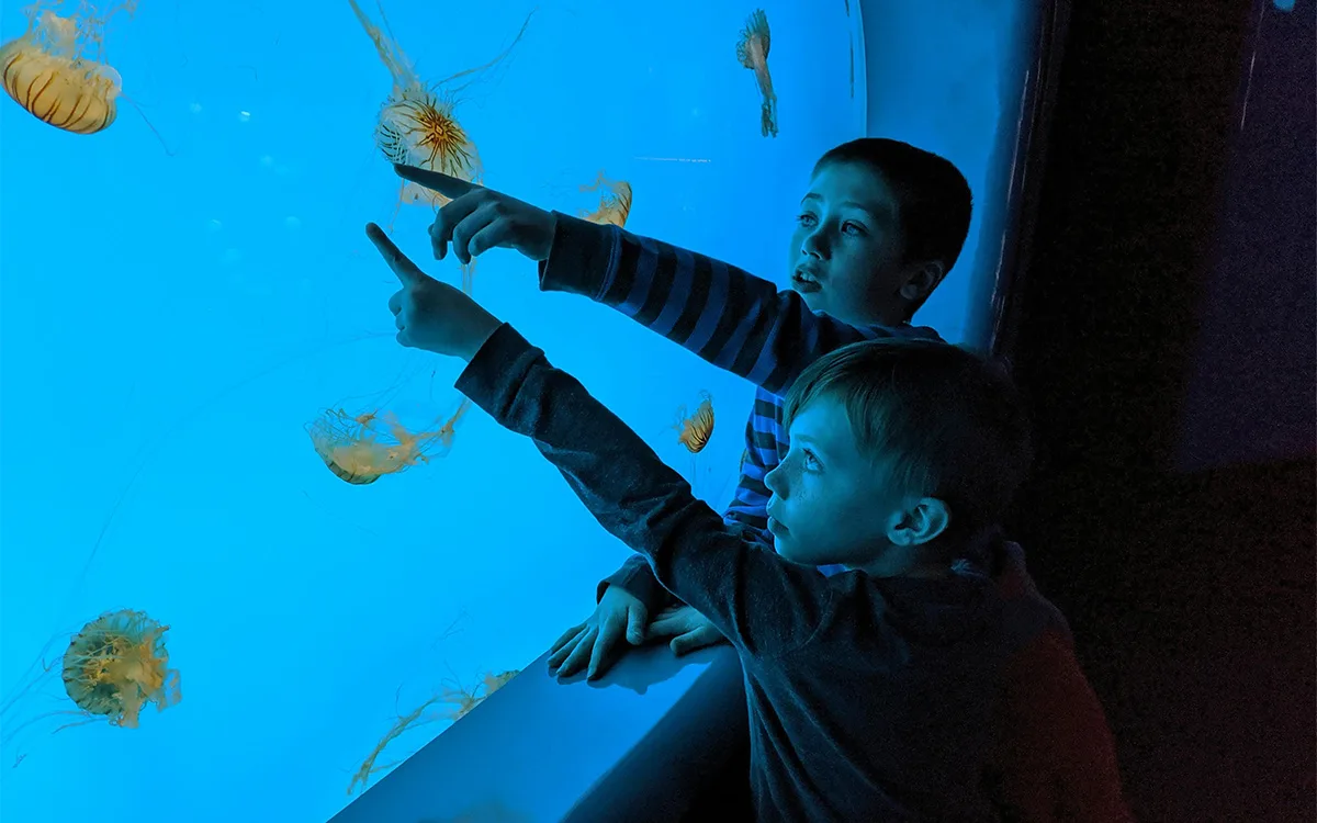 National Marine Aquarium in Plymouth