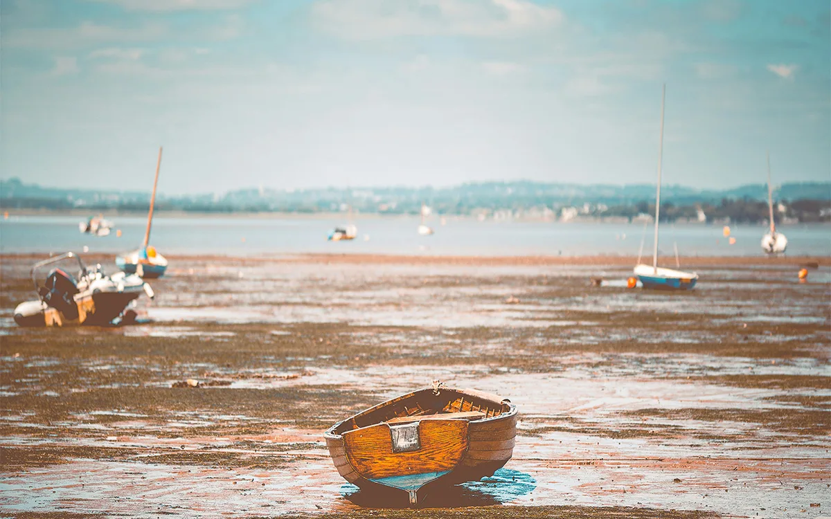 Exe Estuary