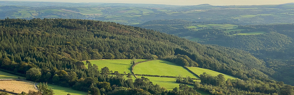 nature spots in devon