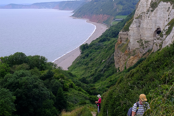 summer walks in devon