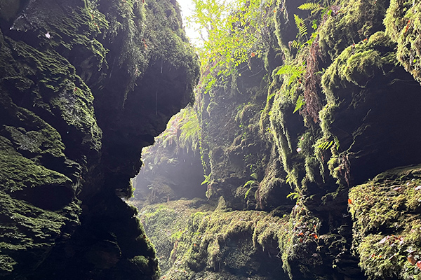 summer walks in devon