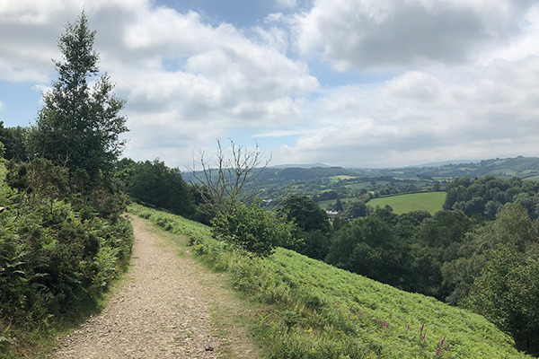 summer walks in devon