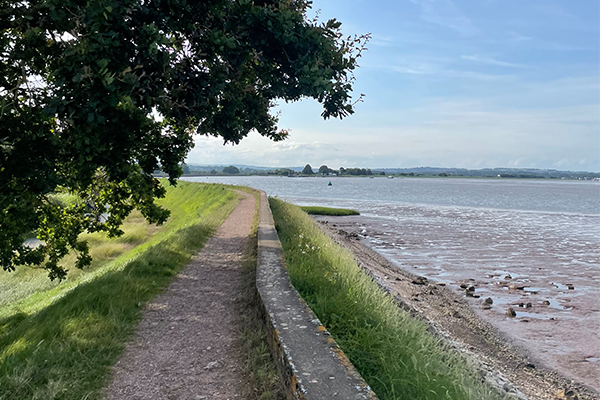 summer walks in devon