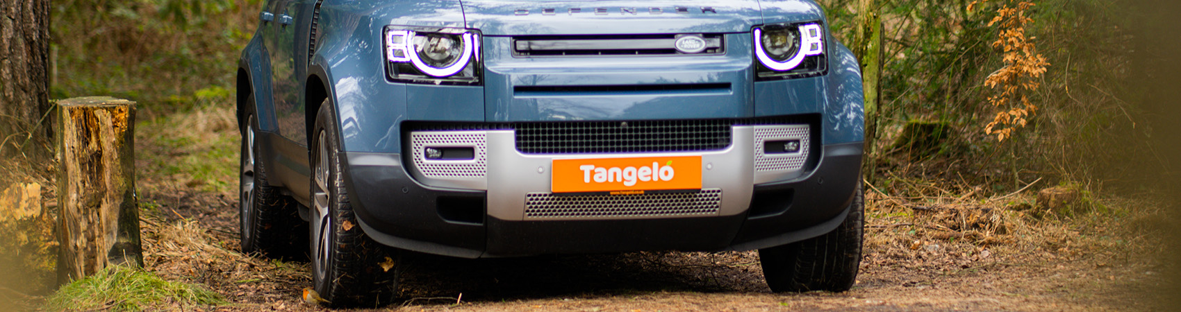 Land Rover Defender with Tangelo number plate