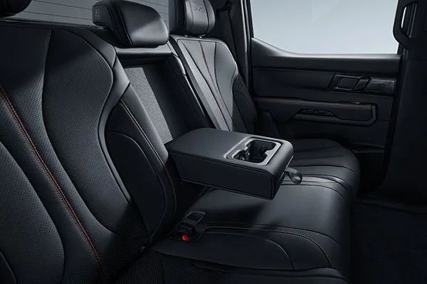 BYDSharkRearSeats